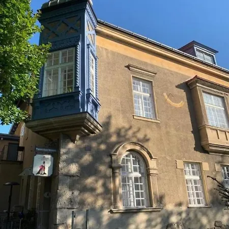 Pazelt Top1 Bad Voeslau