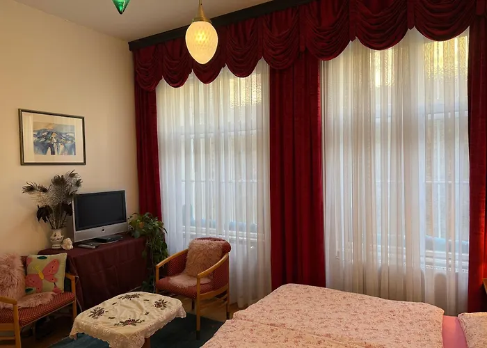 Pazelt Top1 * Bad Voeslau