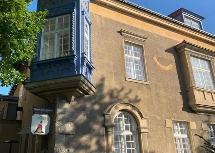 Pazelt Top1 Bad Voeslau